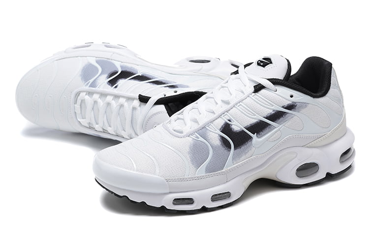 TN PLUS
