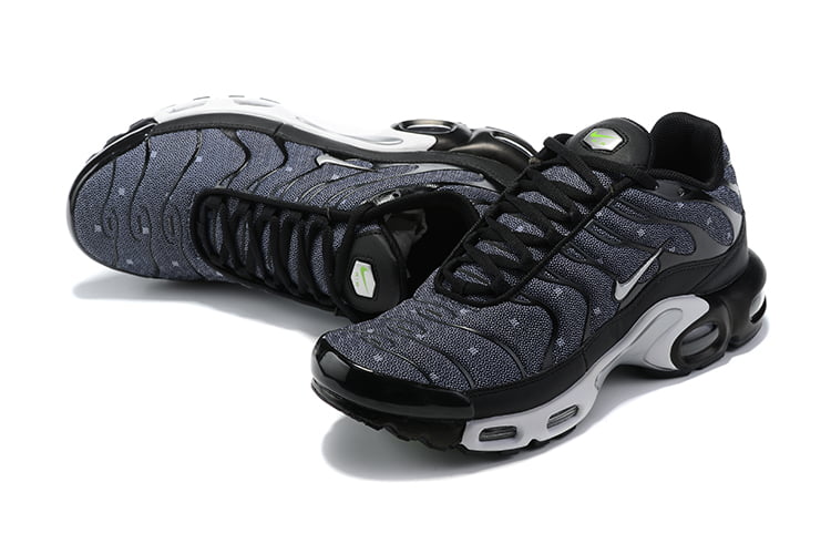 TN PLUS