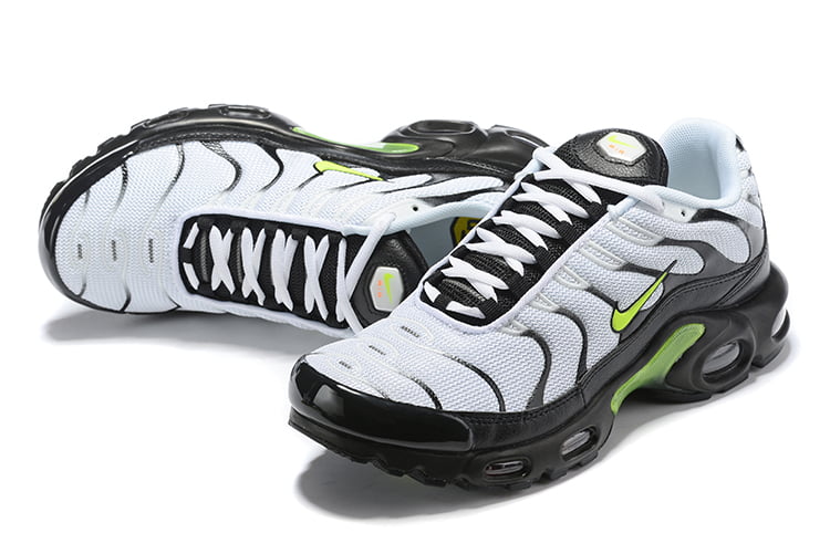 TN PLUS
