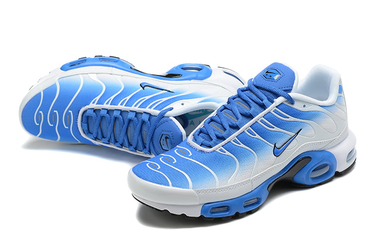 TN PLUS