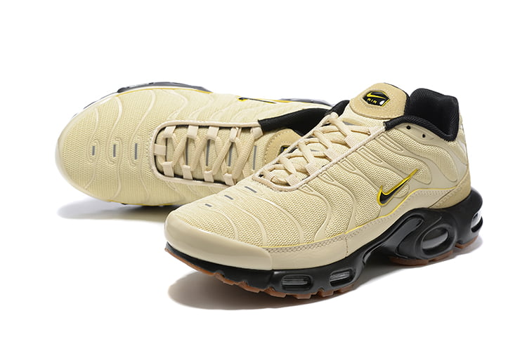 TN PLUS