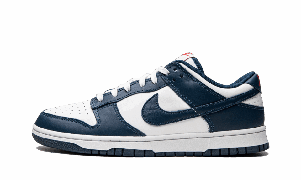 DUNK Valerian Blue
