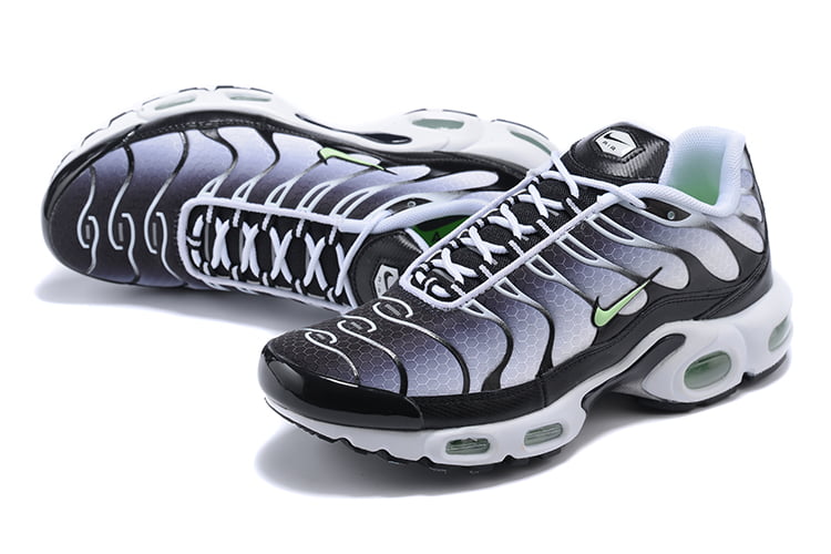 TN PLUS