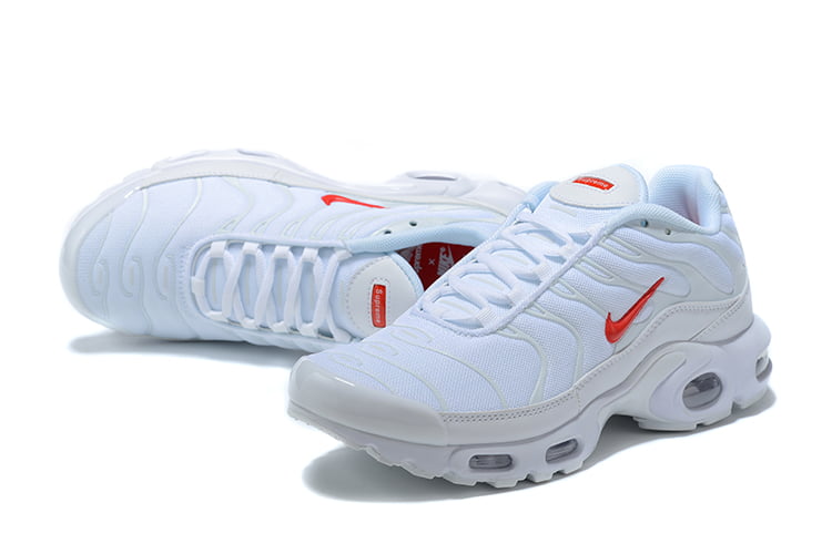TN PLUS