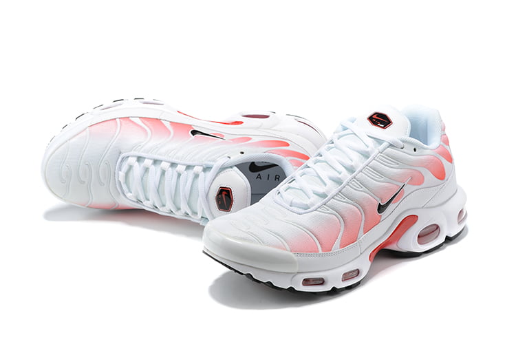 TN PLUS