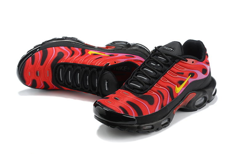 TN PLUS