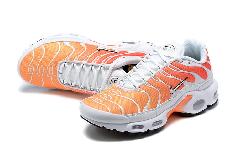 TN PLUS