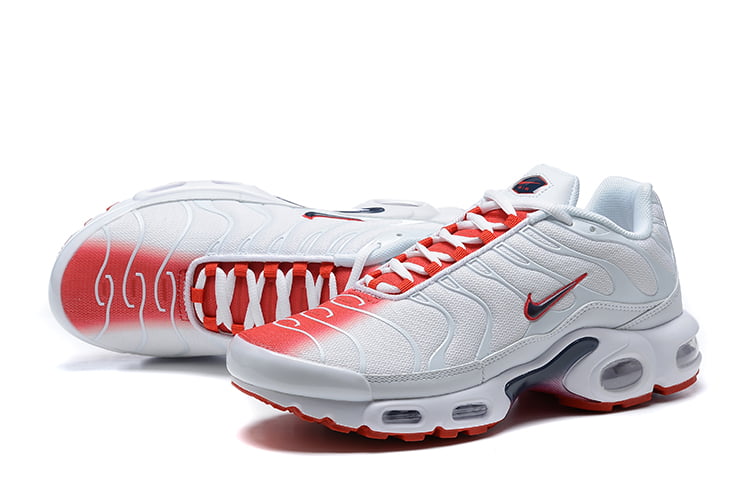 TN PLUS