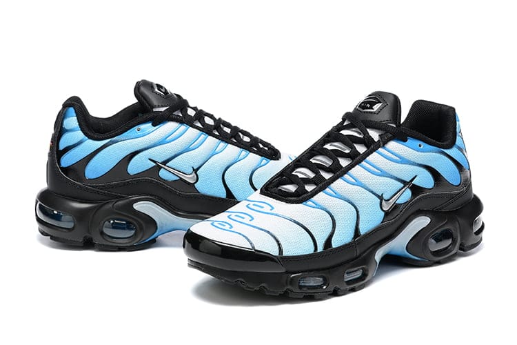 TN PLUS