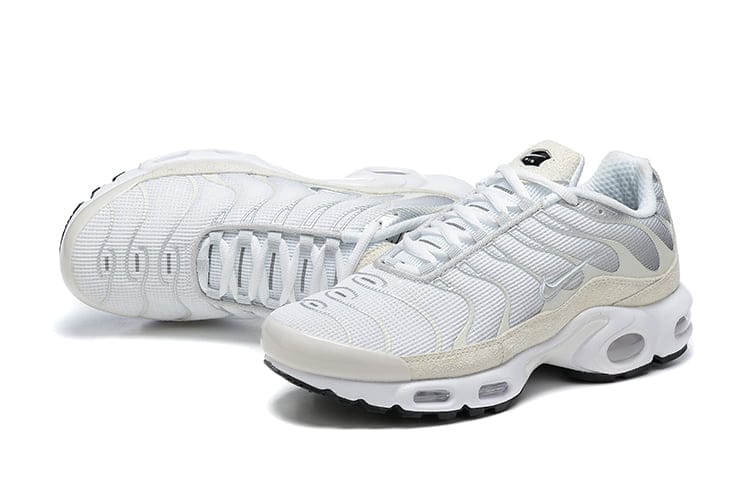TN PLUS