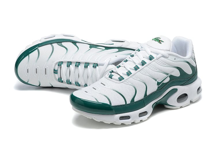 TN PLUS