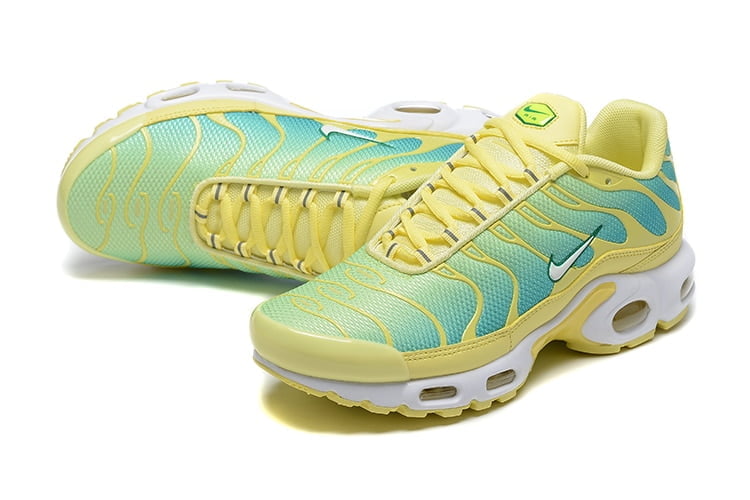 TN PLUS