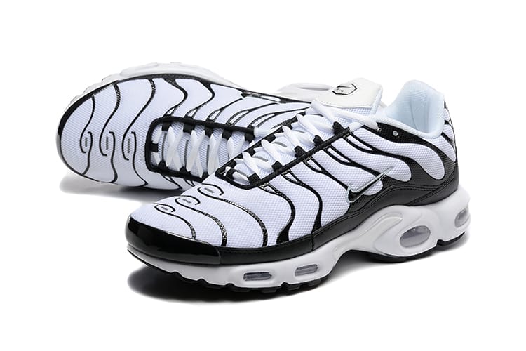 TN PLUS