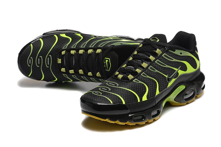 TN PLUS